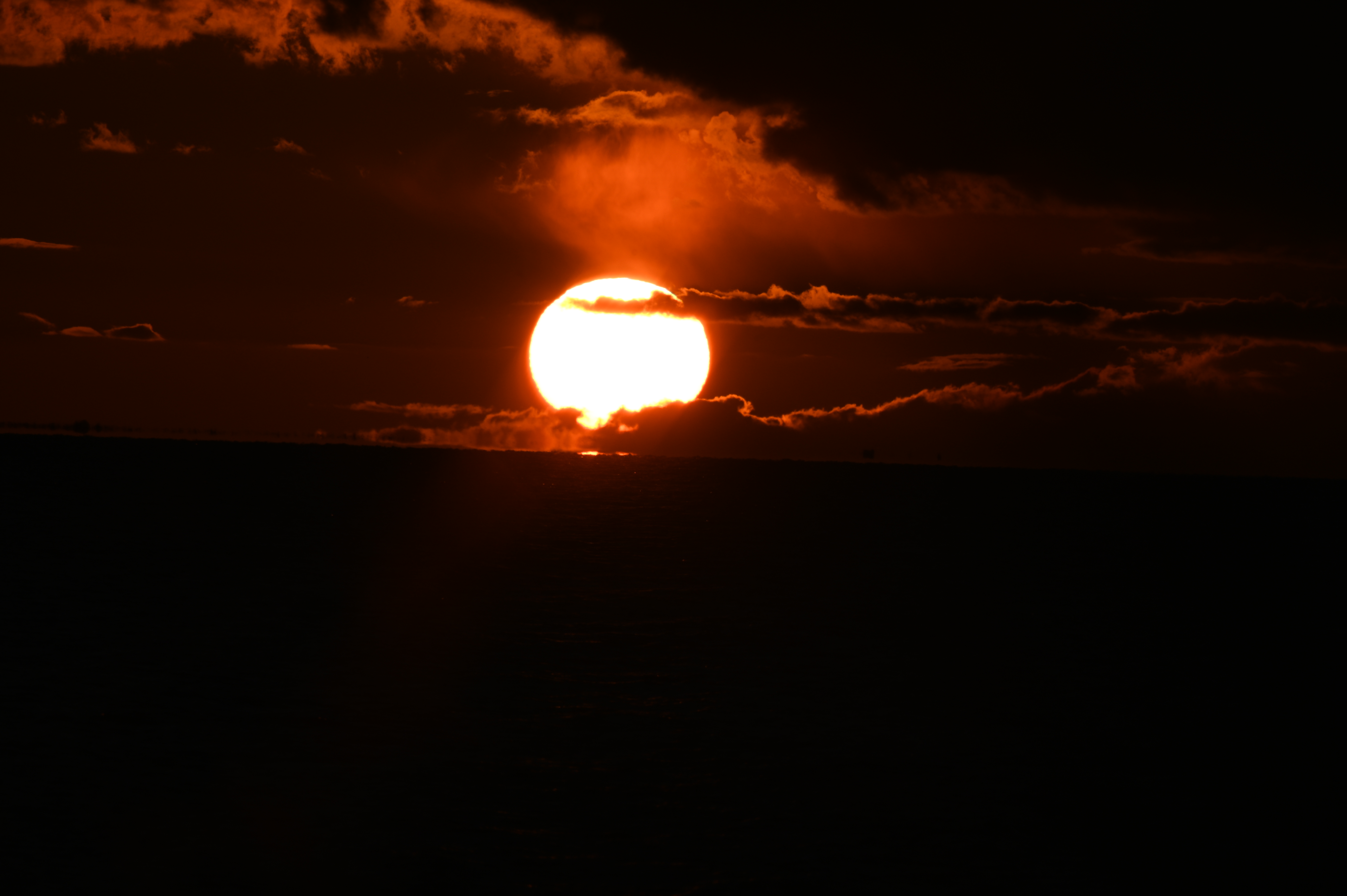 2025/10/18 - walk/DSC_0462.JPG